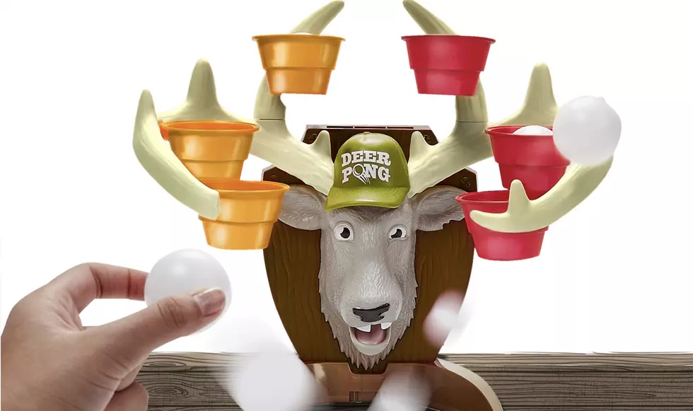 Deer Pong Allows The Whole Family To Play Classic Party Game