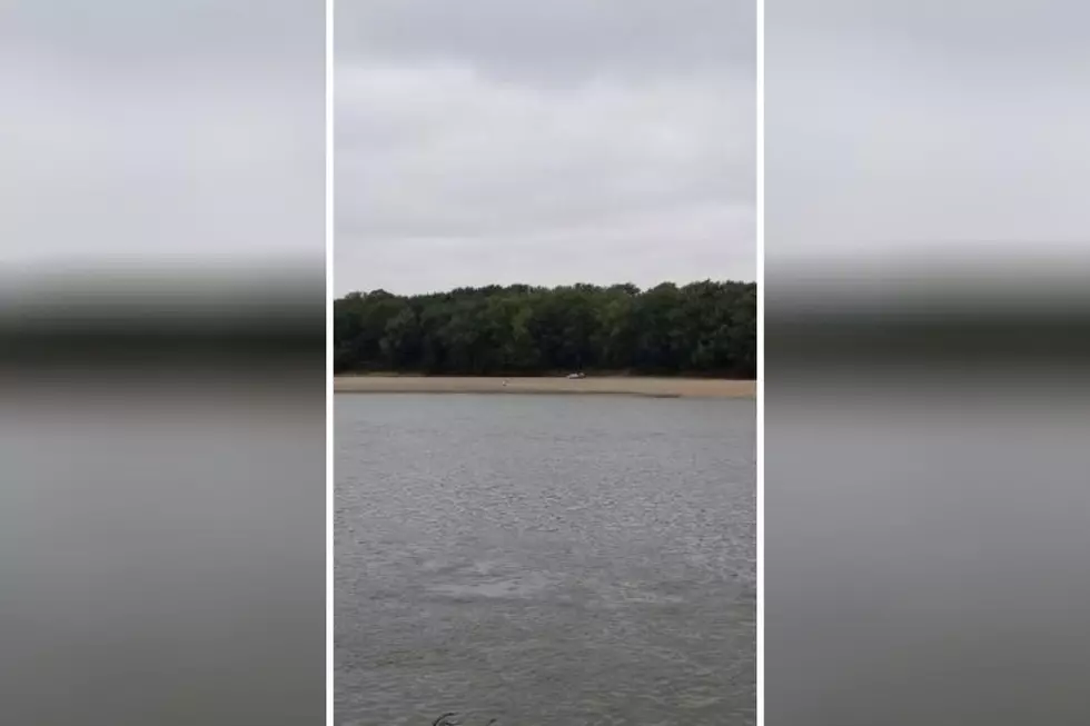What is Sticking Out of This Sandbar In The Wabash River Near New Harmony, IN?