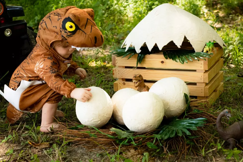 Boonville Toddler Has The Most Adorable ‘Jurassic Park’ Photo Shoot