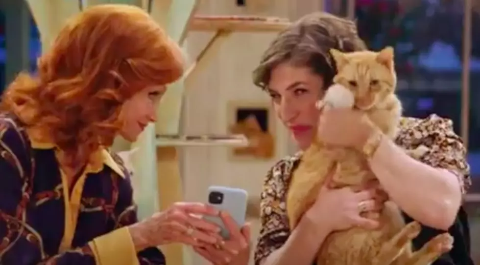 Purrrrfect New Sitcom About Fictional Cat Cafe Is Set In Louisville