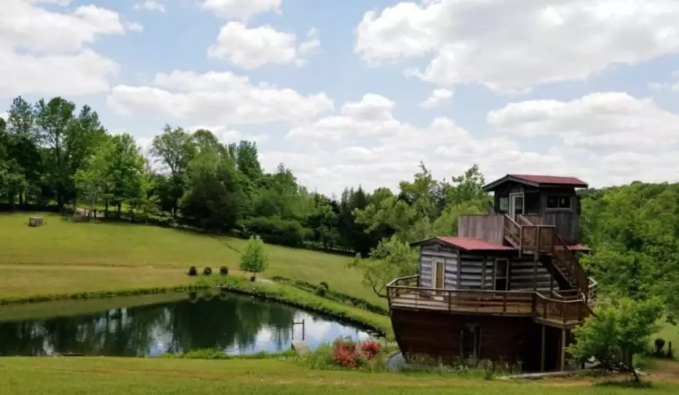 Stay In This Totally Unique Ark Just North Of Nashville