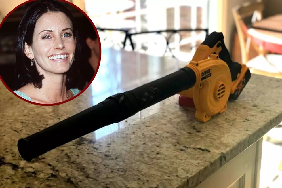 I Named My Leaf Blower Monica Geller – Here’s Why It’s My New Favorite Indoor Cleaning Tool