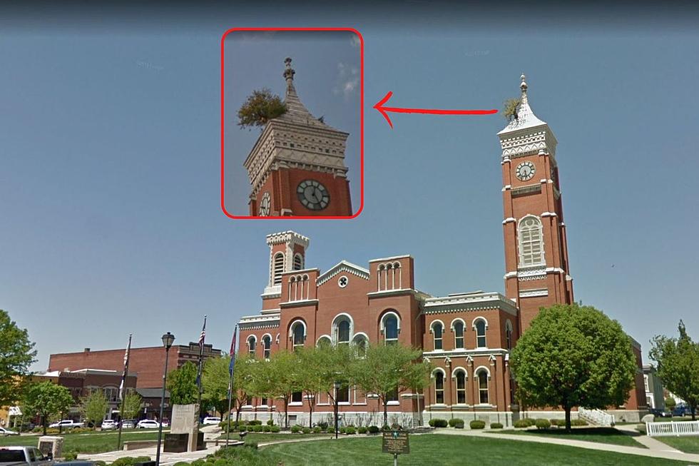 Indiana Fun Fact – A Tree Has Been Growing on This Courthouse Roof for 140+ Years