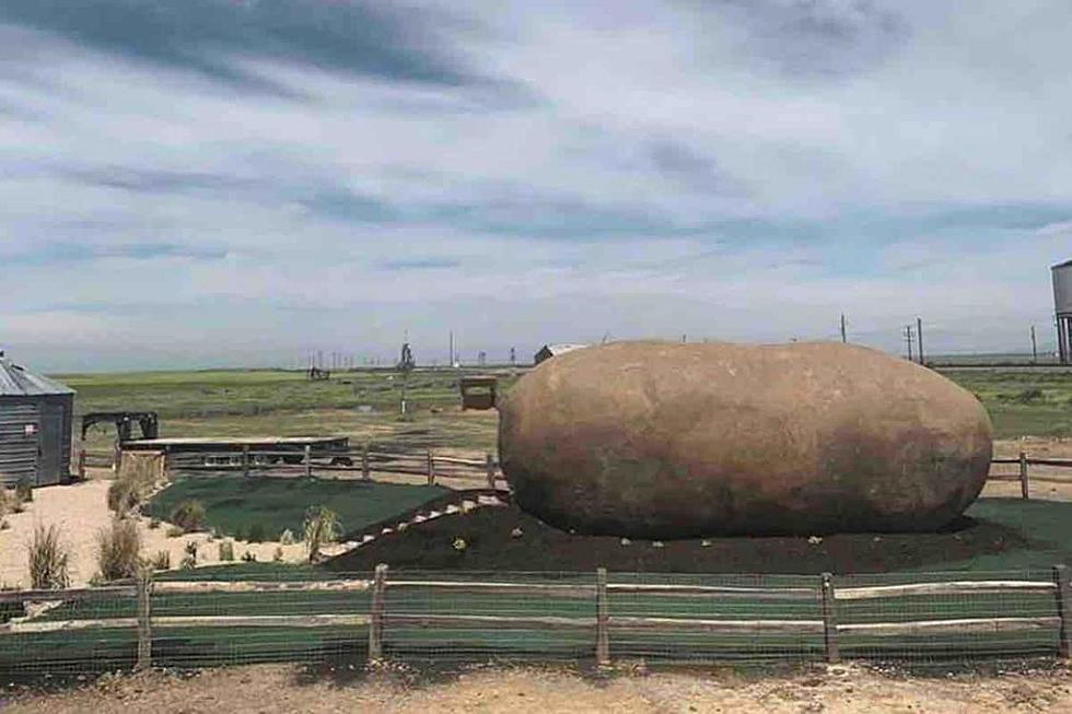 See Inside This Giant Potato That Is An Airbnb [Tri-State Travels]