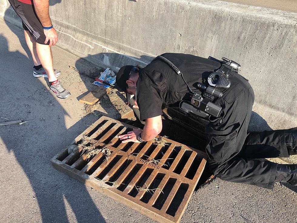 Evansville Police Flock to Rescue Baby Ducks from Storm Drain