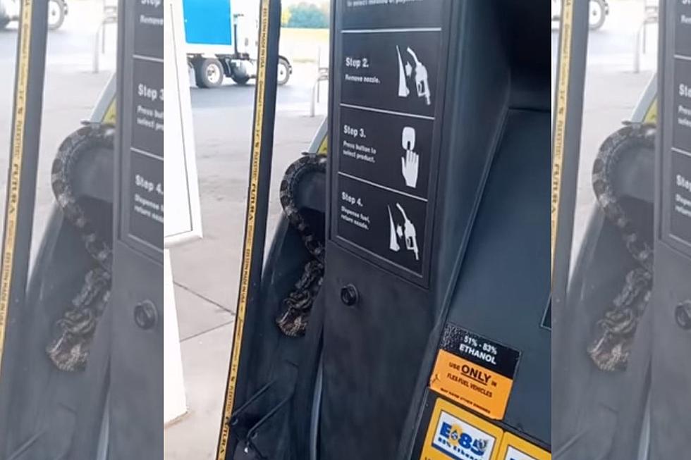 Terrified Woman Finds a Massive Snake In Gas Pump [VIDEO]