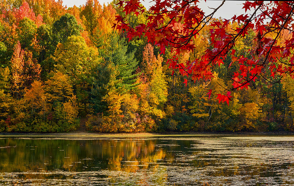 When Will the 2021 Fall Foliage Be At Its Peak in Indiana, Kentucky, and Illinois?