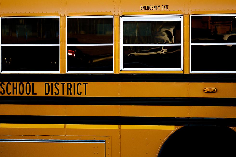 Why Do School Busses Have Black Stripes? The Answer Might Surprise You