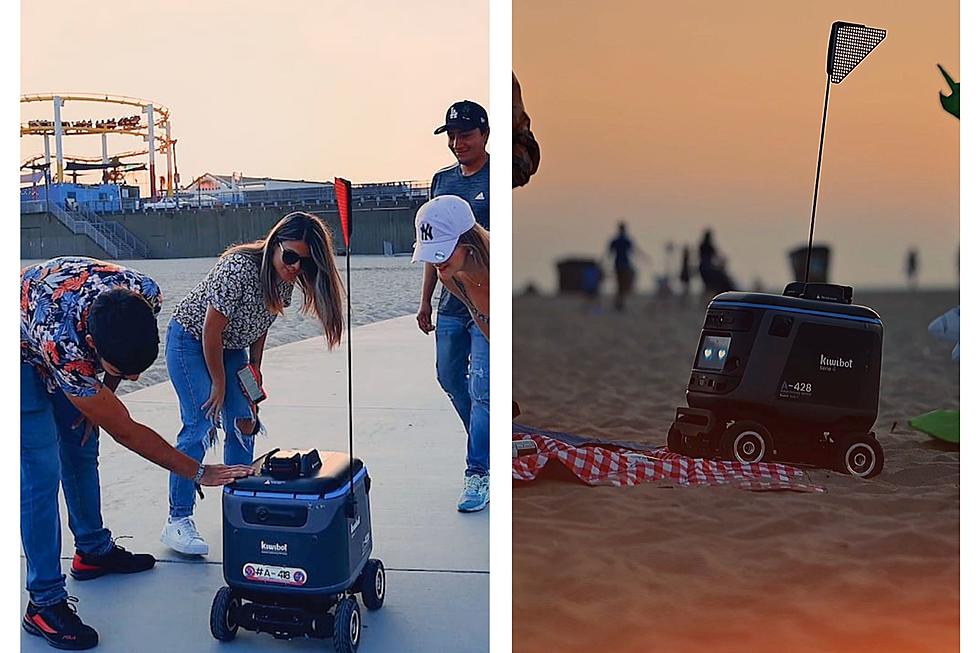 Having a Picnic and Partying On The Beach with Robots Is A Real Thing