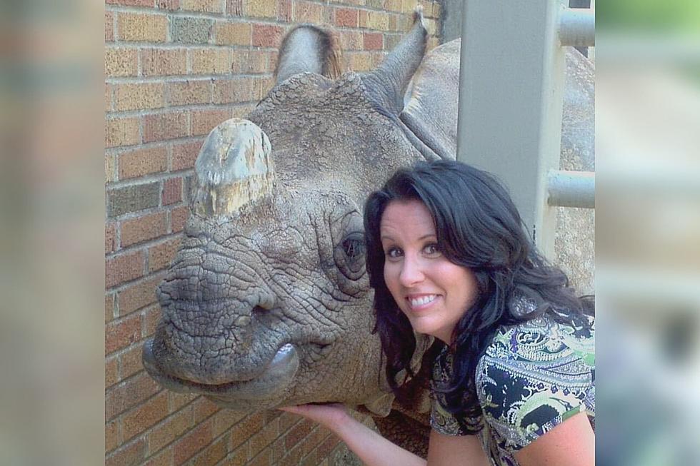 Indiana Radio Personality Remembers Time Spent With Artistic and Beloved Evansville Zoo Rhino
