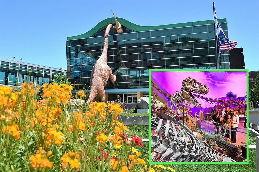 The New Immersive Dinosphere At The Children&#8217;s Museum of Indianapolis Now Open