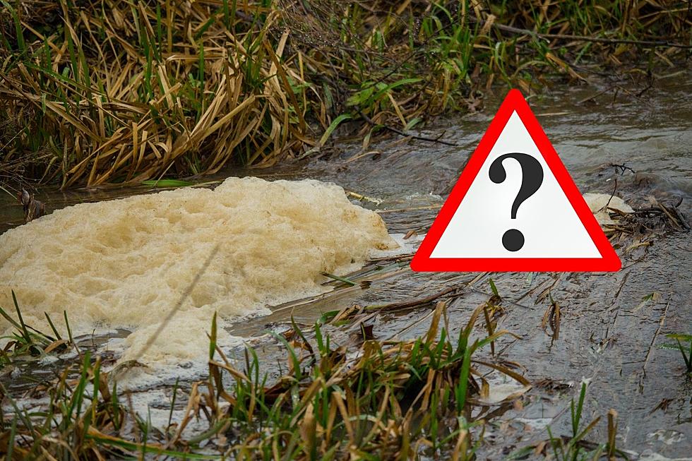 Mysterious White Foam Covering Kentucky Creek Finally Identified
