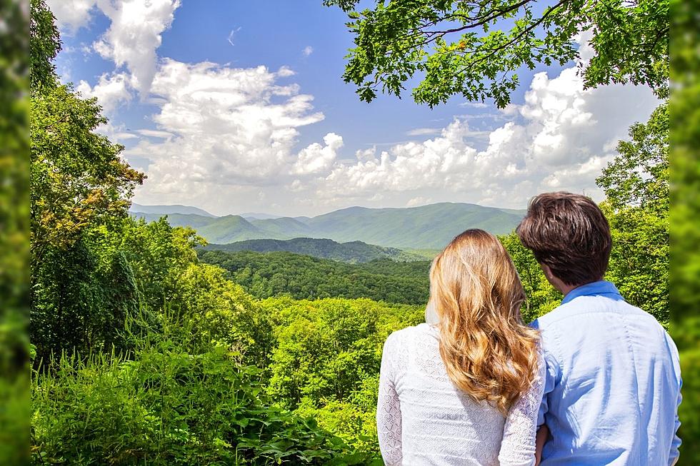 Largest Treehouse Resort in the World Is Opening Up In the Tennessee Smoky Mountains This Summer