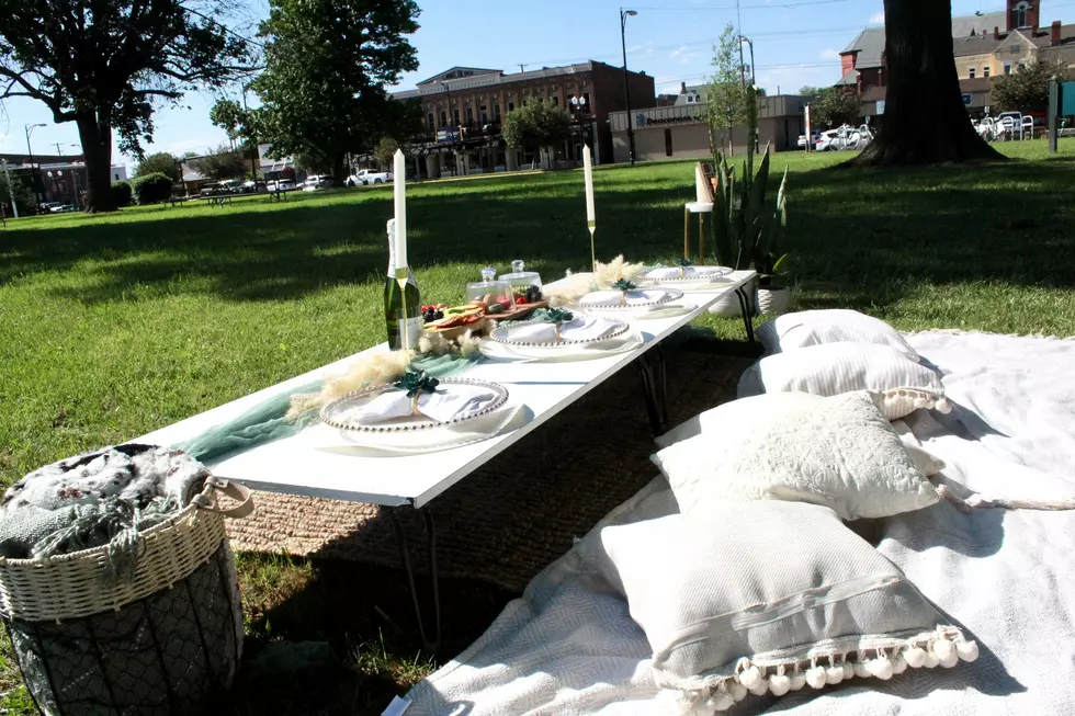 You Can Have a Luxury Picnic In the Evansville Area