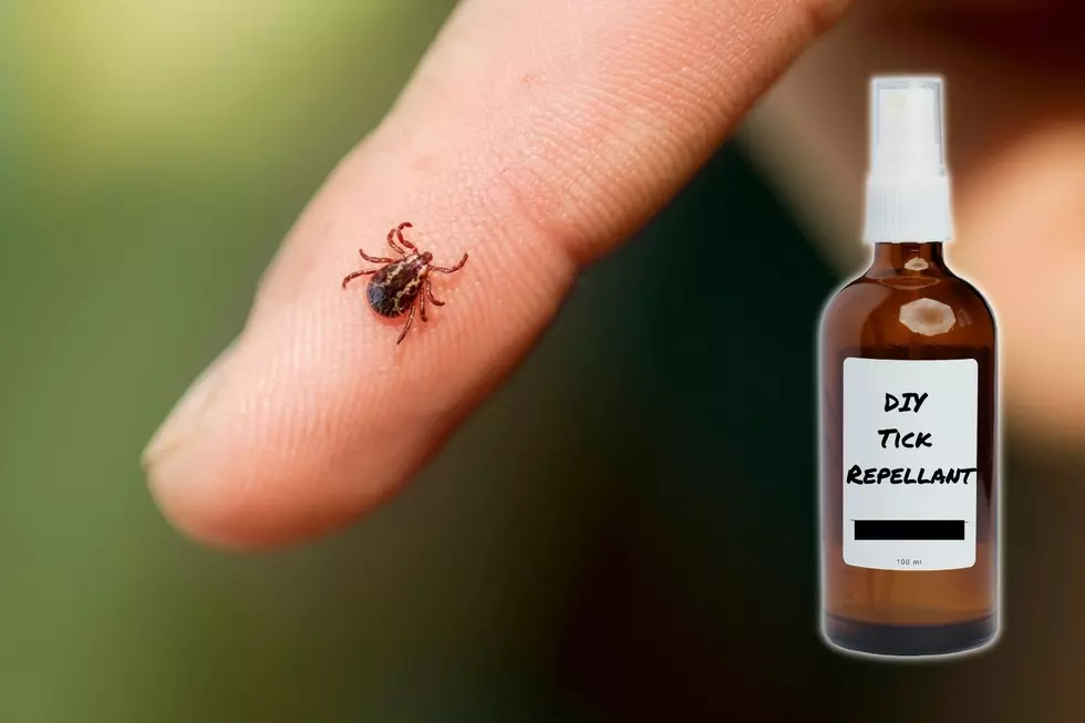 DIY Tick Repellants To Stay Bite-Free This Summer