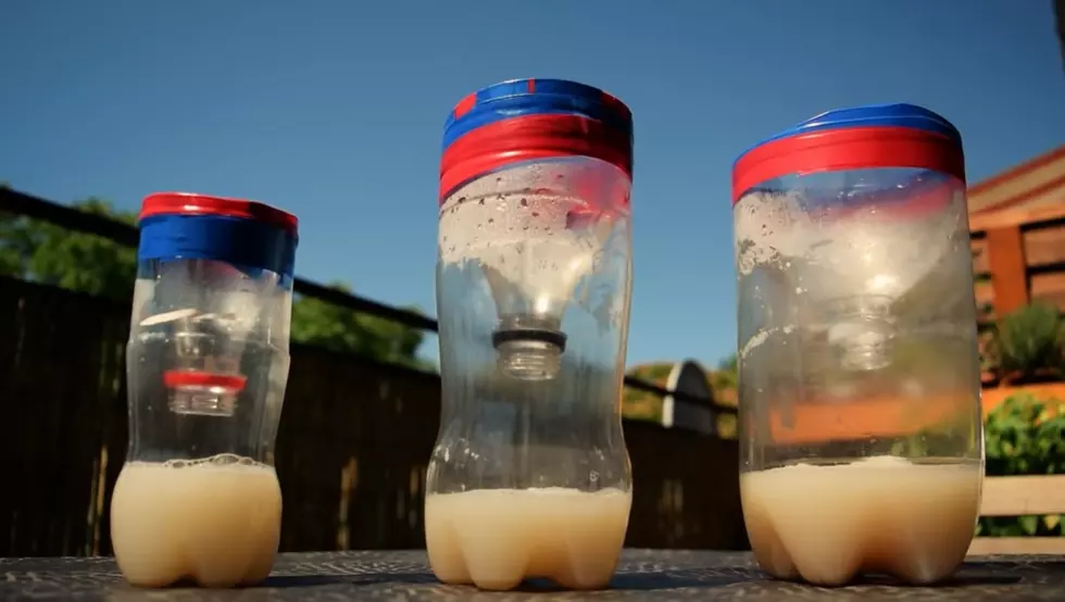 Easy DIY Mosquito Trap That’ll Keep You Bite Free