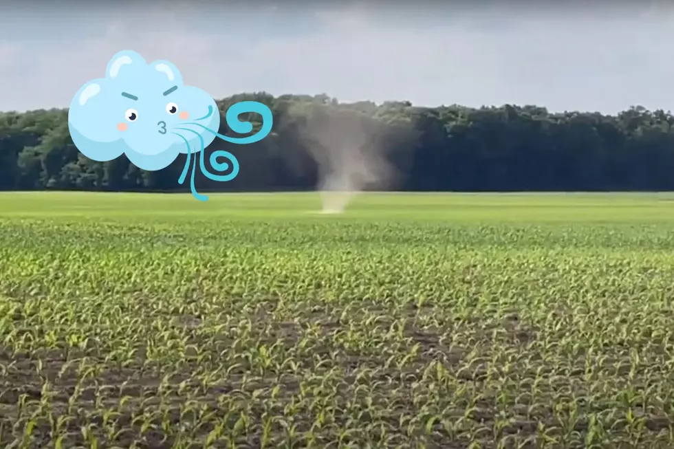 Driver Captures ‘Dust Devil’ on Video in Indiana Cornfield