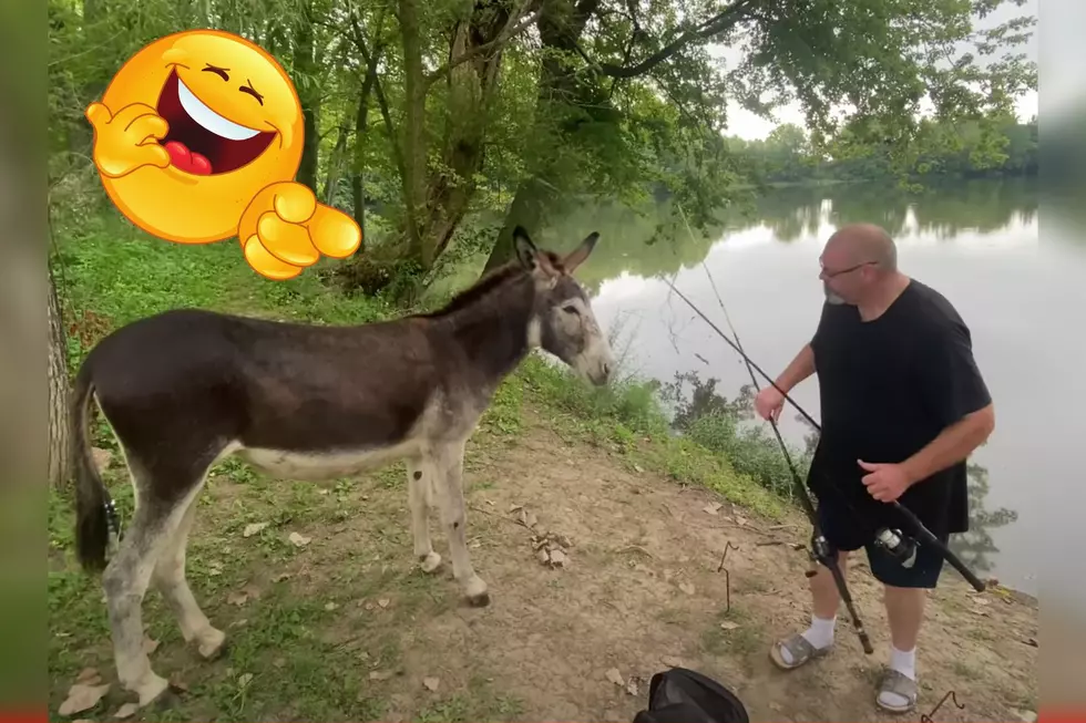 Indiana Man Posts About Jacka** Campsite Visitor and the Comments Are Hilarious