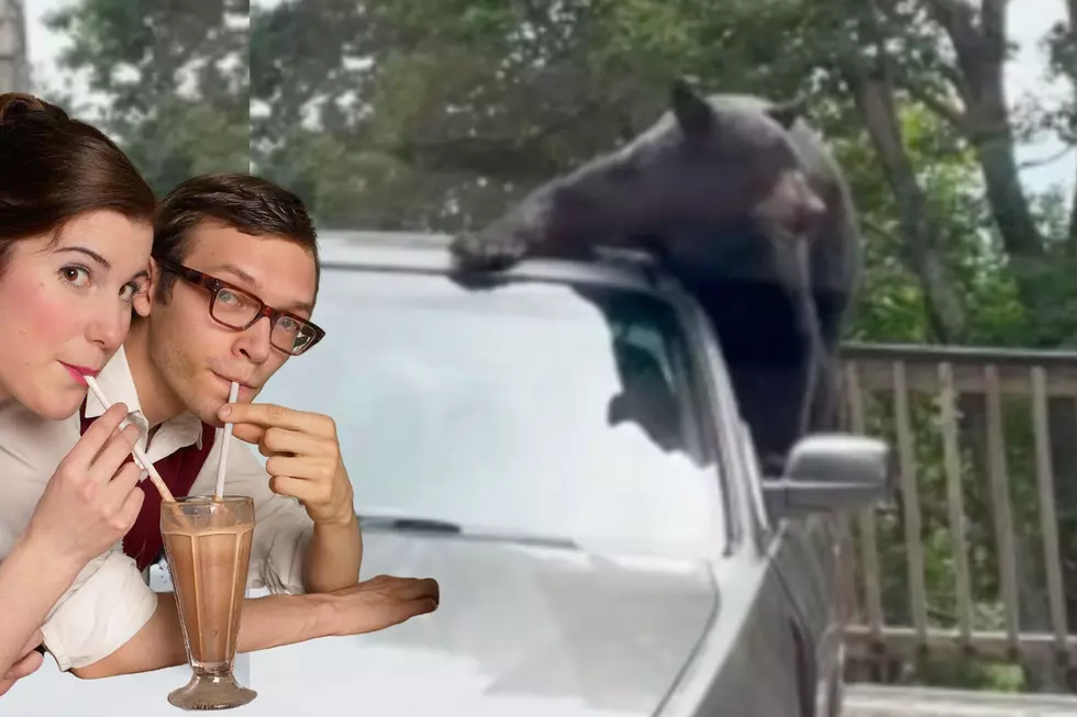 Watch Sneaky Bear Steal Milkshake Out of a Car in Gatlinburg, TN