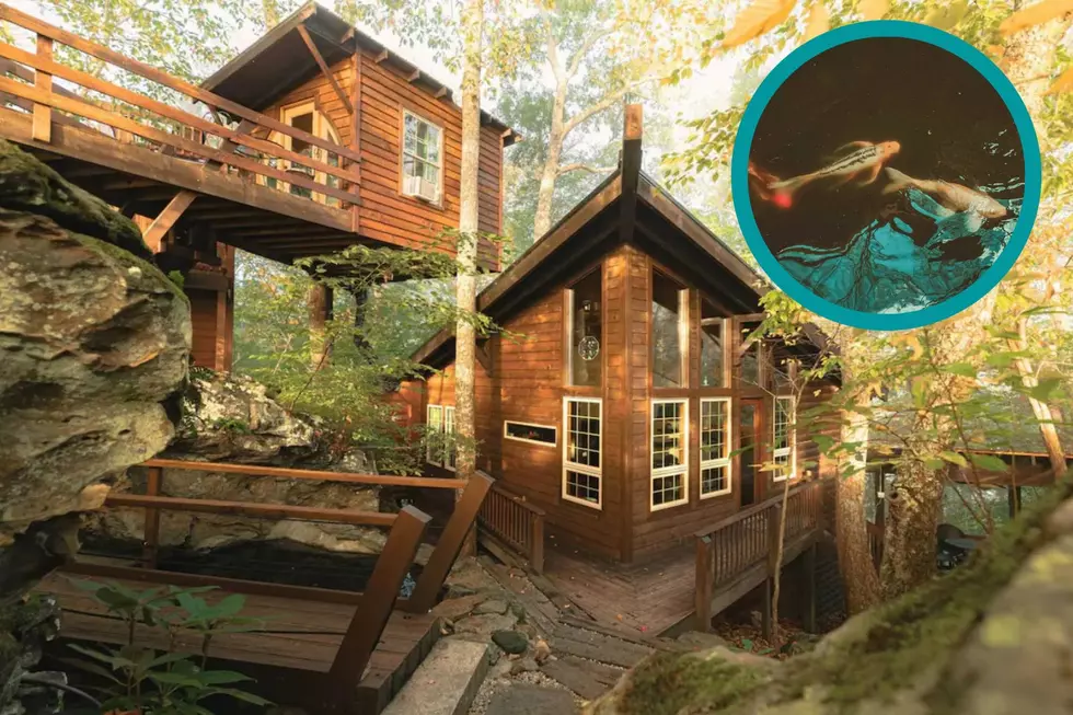 See Incredible Kentucky Cabin with Treehouse, Observatory Tower and Koi Pond [PHOTOS]