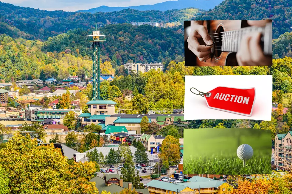 Henderson Lions Club Offering Gatlinburg Cabin Vacation, Opry Tickets, and More at 2023 Auction