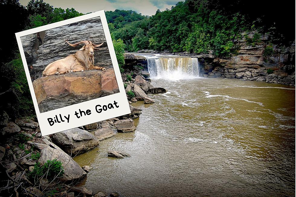 Famous Lake Cumberland, KY Goat Dies