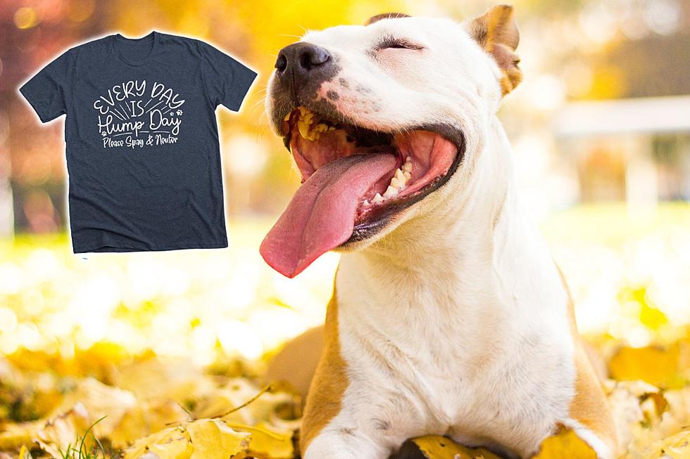 Southern Indiana Humane Society Hosting Hilarious T-Shirt Fundraiser