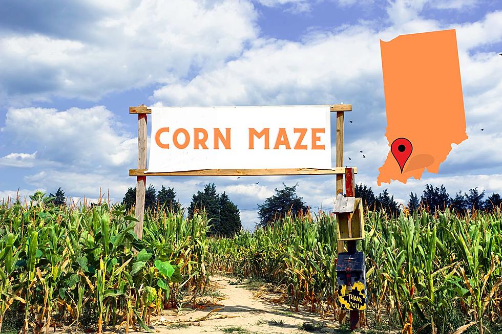 Huge Corn Maze & Pumpkin Patch Coming to Warrick County, Indiana in 2023