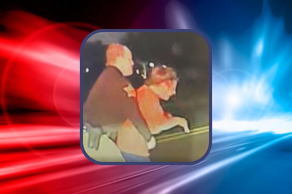 Watch Indiana Sheriff’s Deputy Save Roadside Choking Victim [VIDEO]