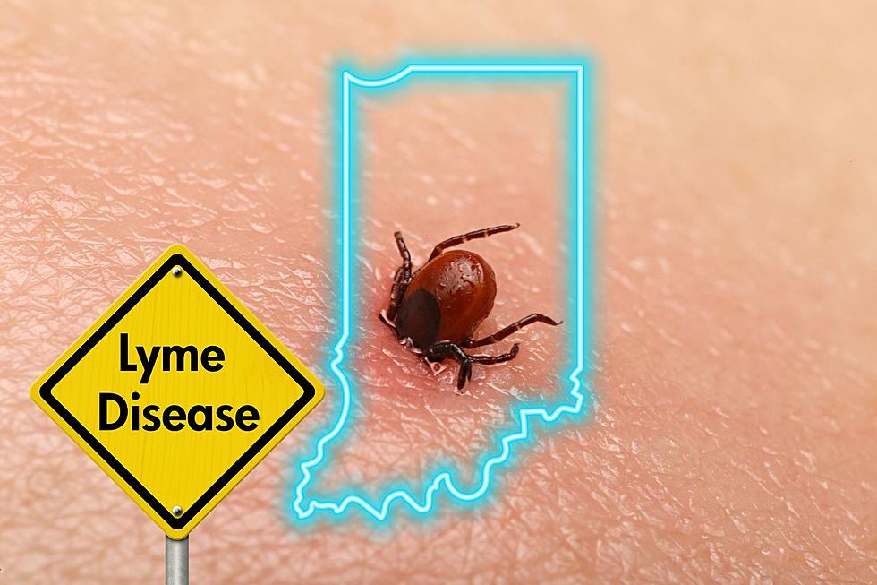The Indiana Counties Most Likely to Have Ticks with Lyme Disease