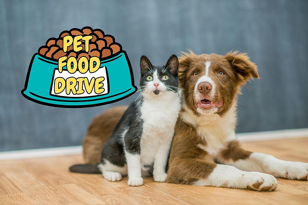 Pet Food Drive for Warrick Humane Society Happening This Week