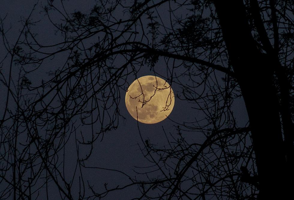October’s Full Moon is the Hunter’s Moon Here’s When to See it Over Indiana, Kentucky, and Illinois