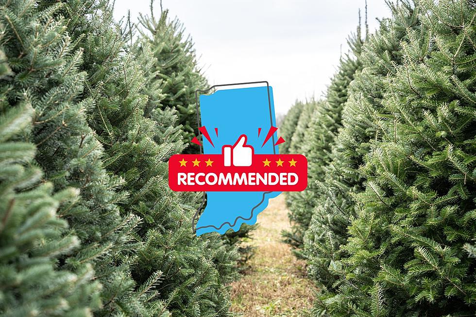 Indiana Has One of the Best Christmas Tree Farms in the Nation