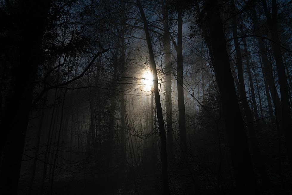 Hike Under Moonlight During Indiana State Park's Full Moon Hike