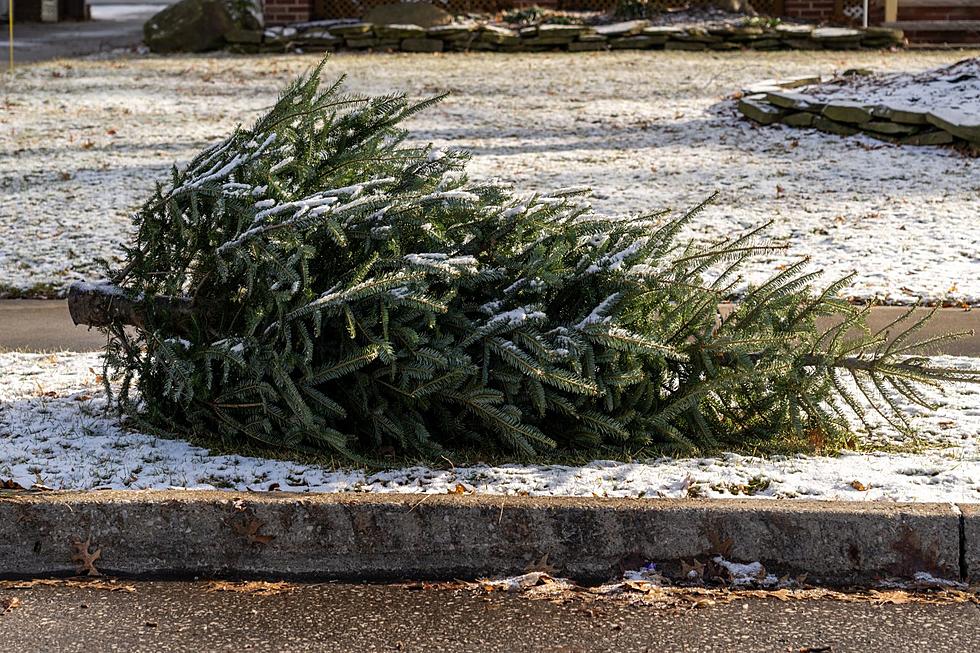 Evansville Water Offering Christmas Tree Disposal