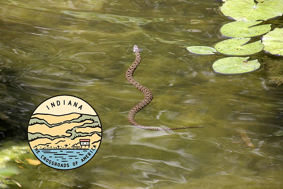 The Most Snake-Infested Lakes in Indiana