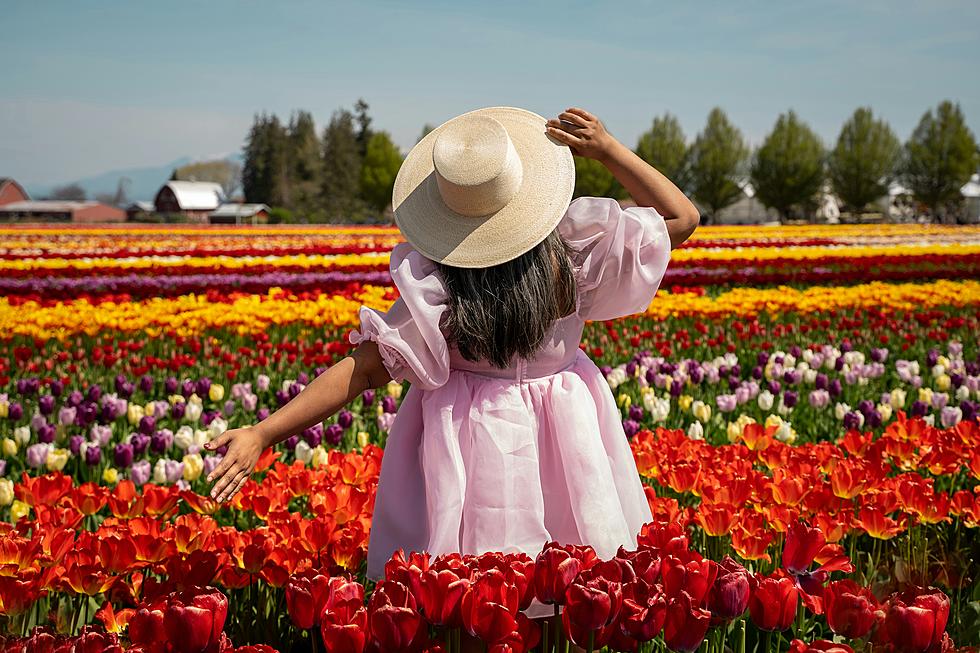 Celebrate Spring with a Massive Tulip Festival in Tennessee