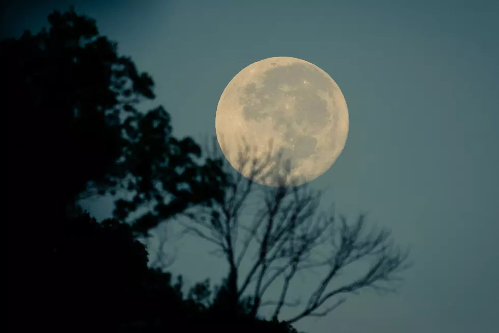 Witness The Full Sturgeon Moon And Dazzling Meteors