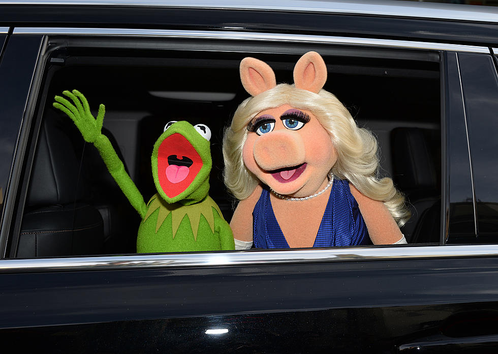 Kermit The Frog & Miss Piggy Are Breaking Up…