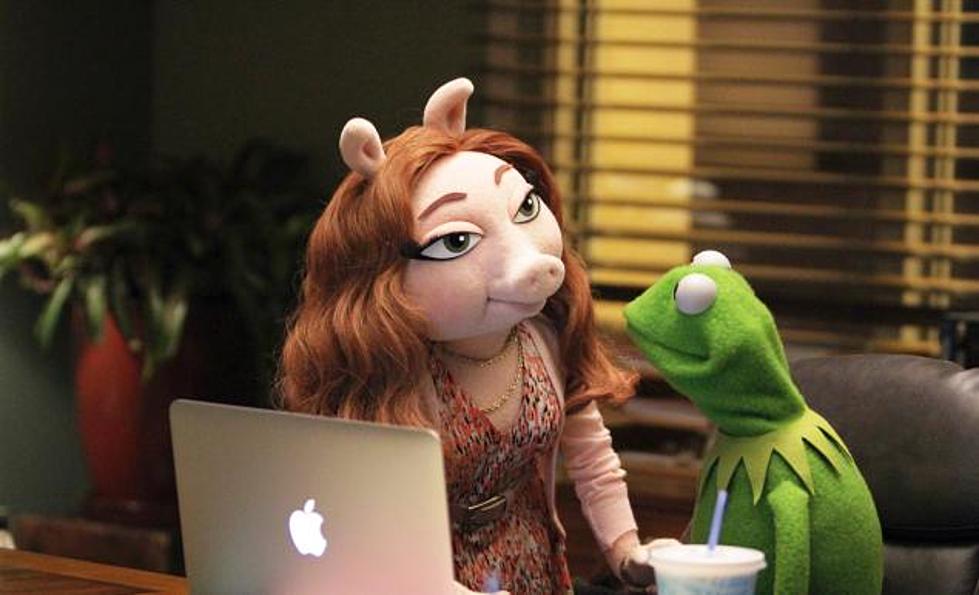 Kermit The Frog Is On The Rebound!