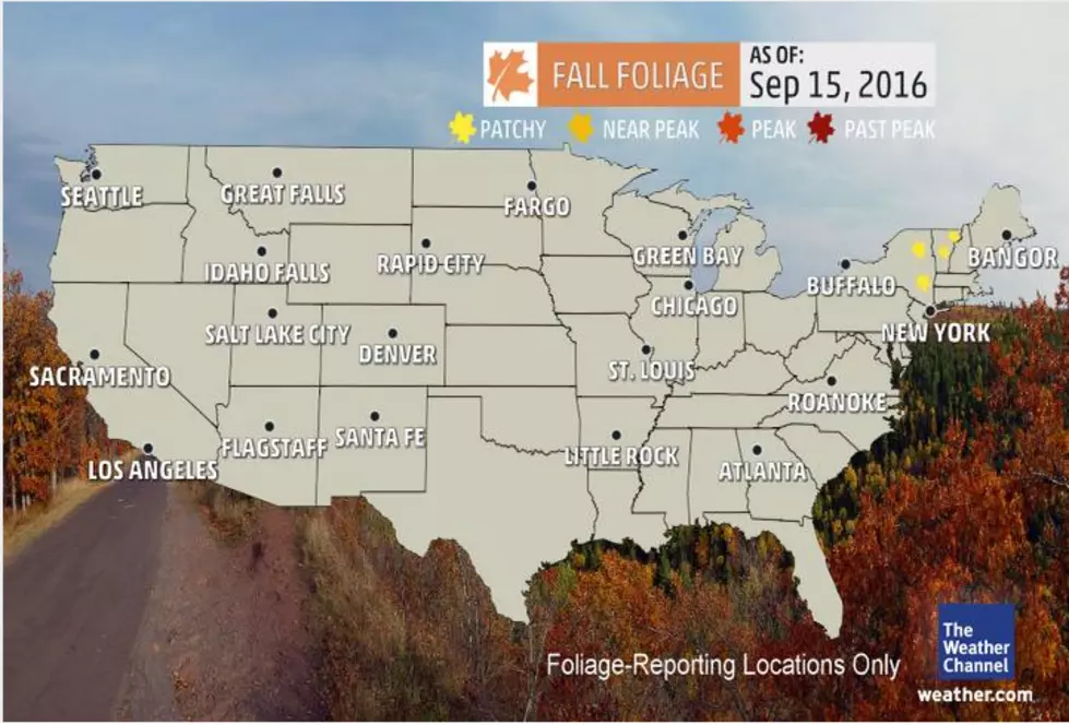 Fall Map for the Best Scenic Drives