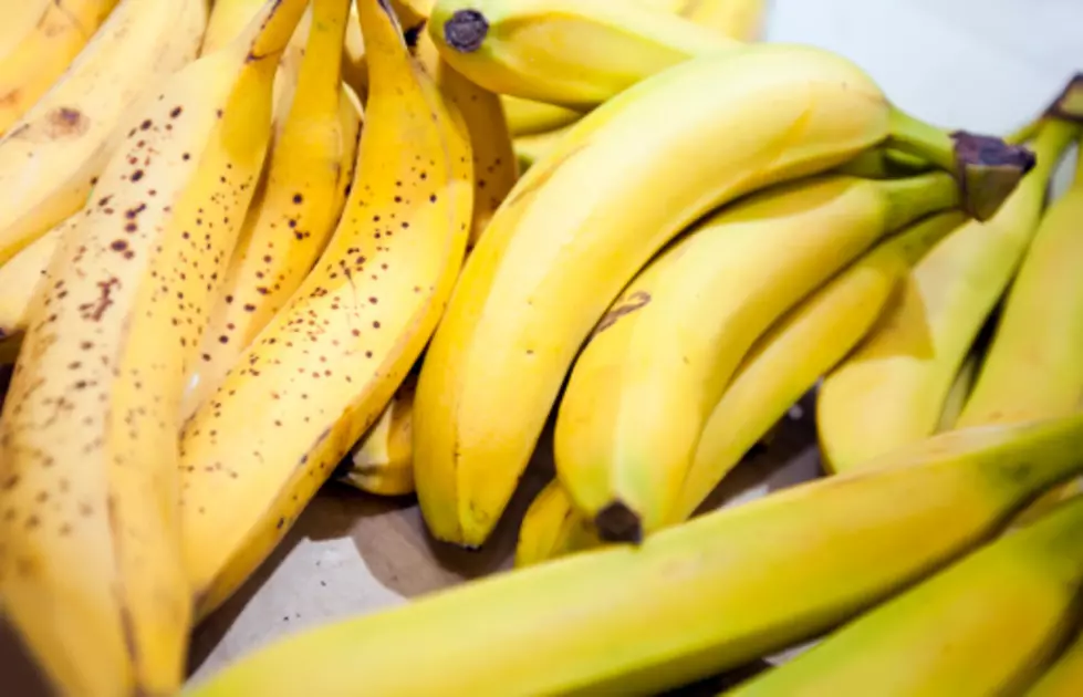 Bananas Could Become Extinct Due to a Deadly Fungus