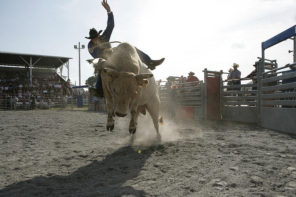 Wapello Rodeo This Weekend To Support High School's FFA