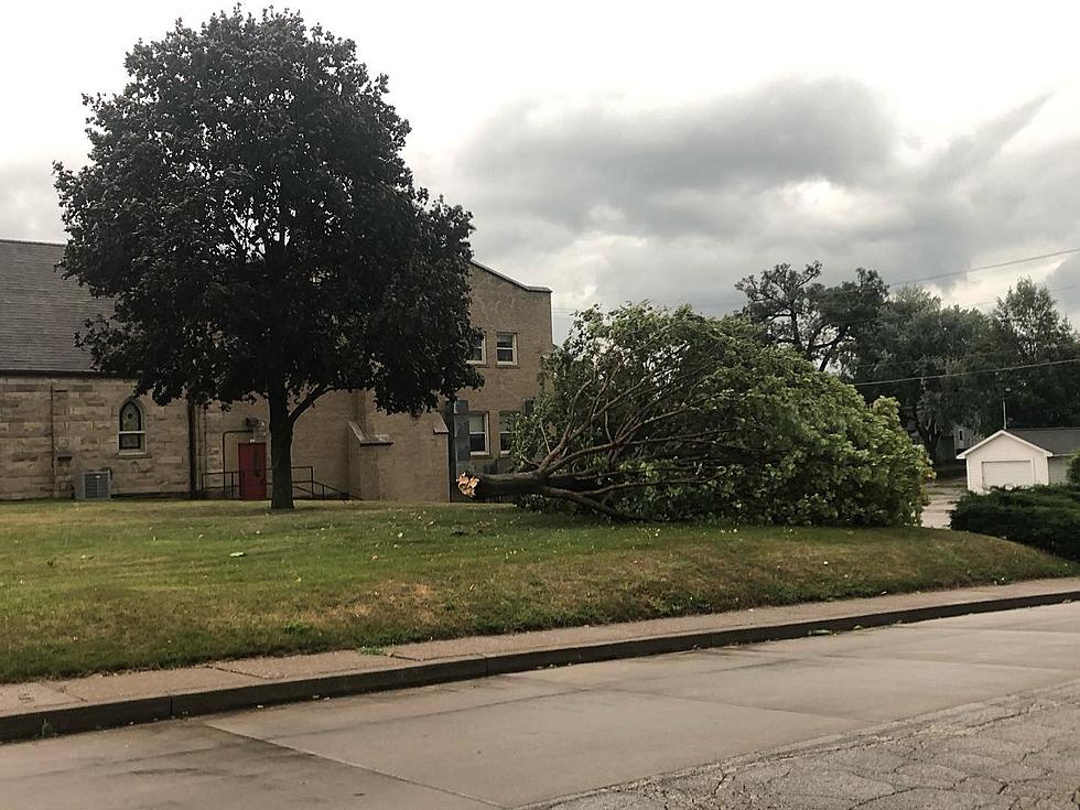 Quad Cities Tree Damage From Wednesday’s Storm [PHOTOS]