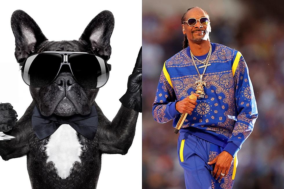 Dress Up Your Dog Like Snoop Dogg