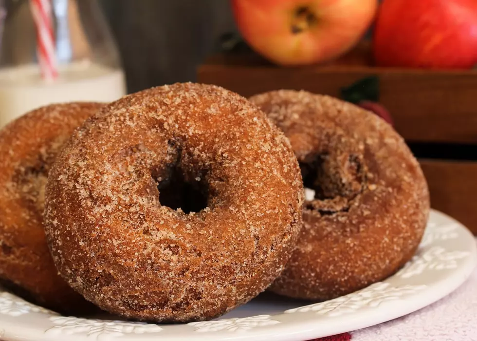 Top 10 Best Cider Donuts Near The QC, According To You