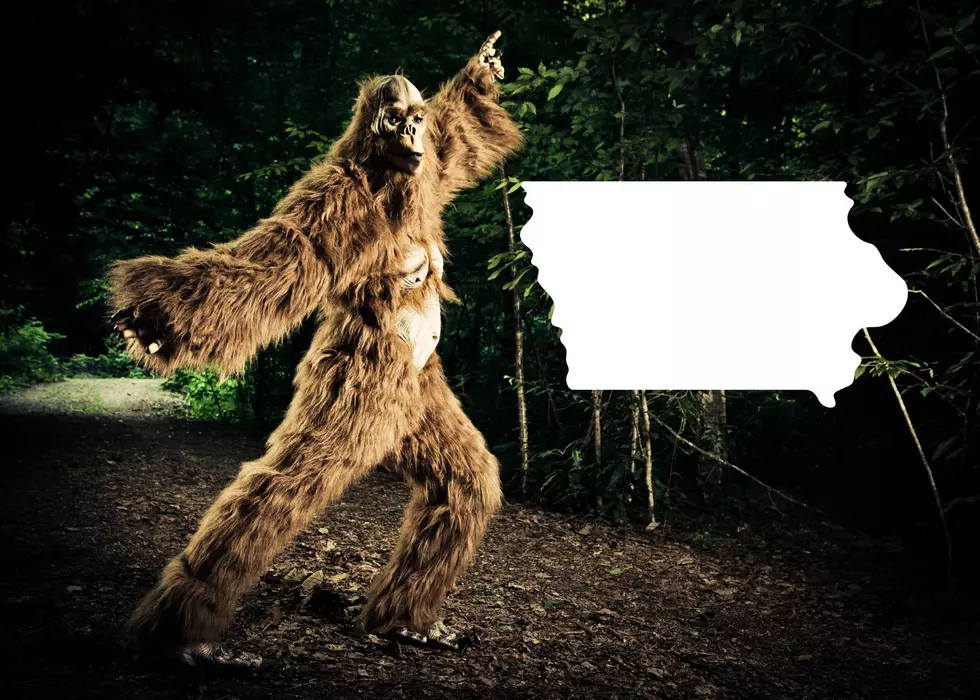 Is Bigfoot In The QCA? Search Expedition To Happen In Eastern Iowa Next Spring