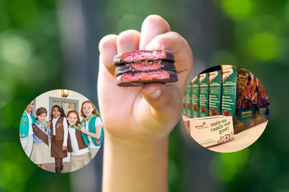 How To Buy Girl Scout Cookies Like A Pro In The Quad Cities