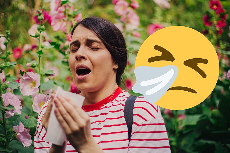 10 Ways Iowa & Illinois Can Beat Pollen Allergies This Season