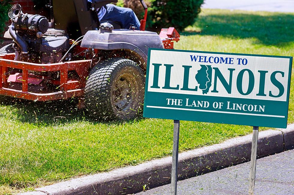 It&#8217;s Illegal To Blow Your Grass Clippings In The Road In Illinois